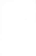 65346_OBJ-Thumbnail Image.jpg