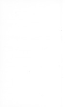 65399_OBJ-Thumbnail Image.jpg