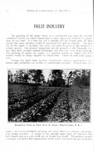 65429_OBJ-Thumbnail Image.jpg