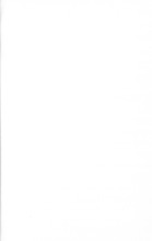 65485_OBJ-Thumbnail Image.jpg