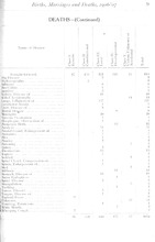 65561_OBJ-Thumbnail Image.jpg