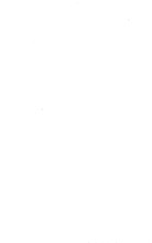 65564_OBJ-Thumbnail Image.jpg