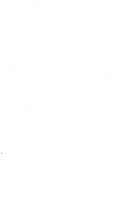 65795_OBJ-Thumbnail Image.jpg