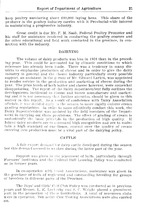 6591_OBJ-Thumbnail Image.jpg