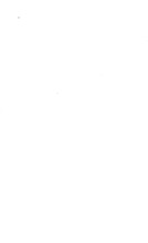 65920_OBJ-Thumbnail Image.jpg