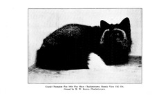 66096_OBJ-Thumbnail Image.jpg