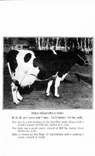 66097_OBJ-Thumbnail Image.jpg
