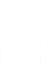 66450_OBJ-Thumbnail Image.jpg