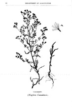 66573_OBJ-Thumbnail Image.jpg