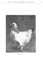 66582_OBJ-Thumbnail Image.jpg