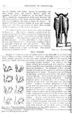 66682_OBJ-Thumbnail Image.jpg