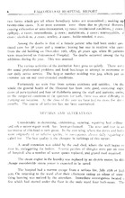 66918_OBJ-Thumbnail Image.jpg