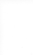 6711_OBJ-Thumbnail Image.jpg