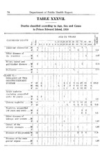 67123_OBJ-Thumbnail Image.jpg