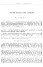 67156_OBJ-Thumbnail Image.jpg