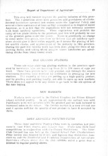 67412_OBJ-Thumbnail Image.jpg