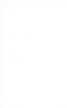 67593_OBJ-Thumbnail Image.jpg