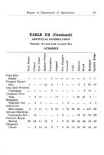 67746_OBJ-Thumbnail Image.jpg