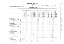 6781_OBJ-Thumbnail Image.jpg
