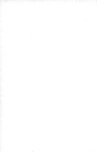 6790_OBJ-Thumbnail Image.jpg