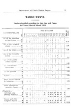 68286_OBJ-Thumbnail Image.jpg