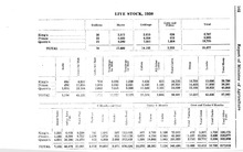 68351_OBJ-Thumbnail Image.jpg