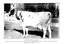 68591_OBJ-Thumbnail Image.jpg