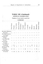 68751_OBJ-Thumbnail Image.jpg