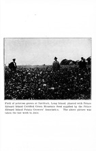 68831_OBJ-Thumbnail Image.jpg