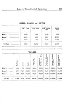 6887_OBJ-Thumbnail Image.jpg