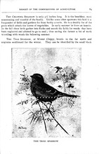 68905_OBJ-Thumbnail Image.jpg