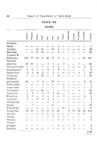 69049_OBJ-Thumbnail Image.jpg