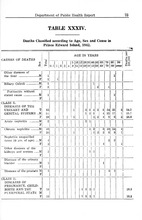 69393_OBJ-Thumbnail Image.jpg