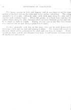 69487_OBJ-Thumbnail Image.jpg