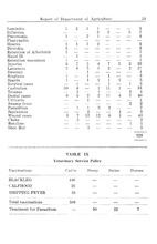 69544_OBJ-Thumbnail Image.jpg