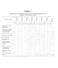 69733_OBJ-Thumbnail Image.jpg