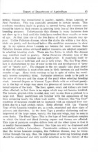 69984_OBJ-Thumbnail Image.jpg
