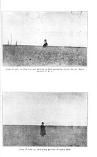 7028_OBJ-Thumbnail Image.jpg