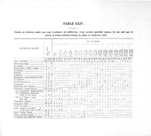 70508_OBJ-Thumbnail Image.jpg