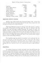 70656_OBJ-Thumbnail Image.jpg