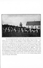 71058_OBJ-Thumbnail Image.jpg