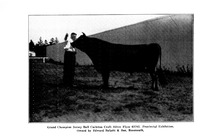 71090_OBJ-Thumbnail Image.jpg