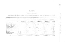 71141_OBJ-Thumbnail Image.jpg