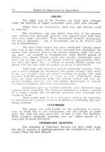 71300_OBJ-Thumbnail Image.jpg