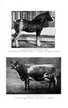 71663_OBJ-Thumbnail Image.jpg