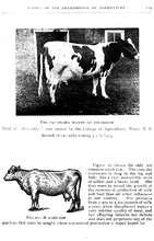 7167_OBJ-Thumbnail Image.jpg