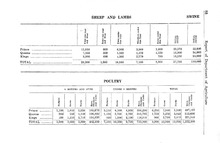 71889_OBJ-Thumbnail Image.jpg