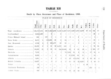 71966_OBJ-Thumbnail Image.jpg