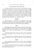 72071_OBJ-Thumbnail Image.jpg