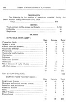 72083_OBJ-Thumbnail Image.jpg